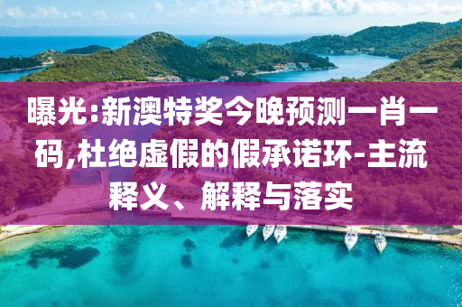 曝光:新澳特奖今晚预测一肖一码,杜绝虚假的假承诺环-主流释义、解释与落实